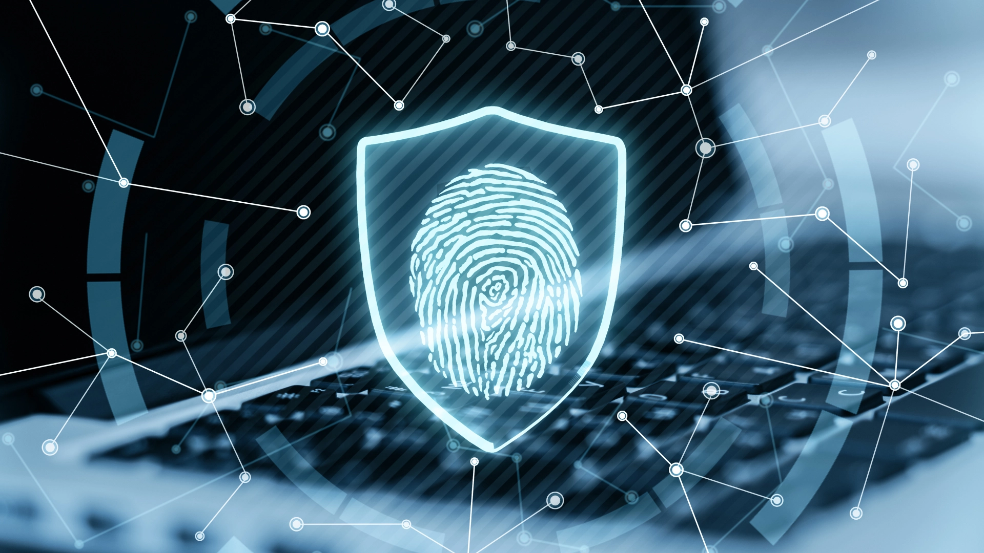 what is data security standard
